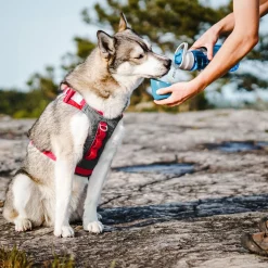 Kurgo Gourd Water Bottle - Hondendrinkbak