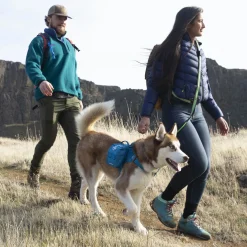 Kurgo Rsg First Aid Kit - Honden-EHBO-Set - Blauw