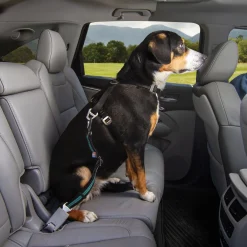 Kurgo Seatbelt Swivel Tether - Hondenautoaccessoire - Blauw Zwart