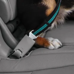 Kurgo Seatbelt Swivel Tether - Hondenautoaccessoire - Blauw Zwart