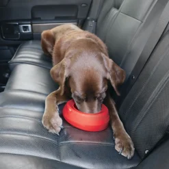 Kurgo Splash Free Wander - Hondendrinkbak