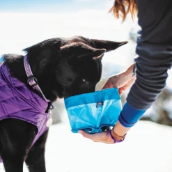 Kurgo Zippy Bowl - Opvouwbare Reisvoerbak - Hondenvoerbak