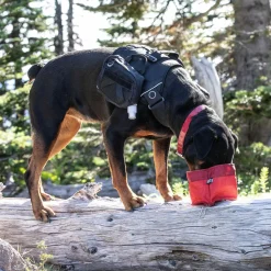 Kurgo Zippy Bowl - Opvouwbare Reisvoerbak - Hondenvoerbak
