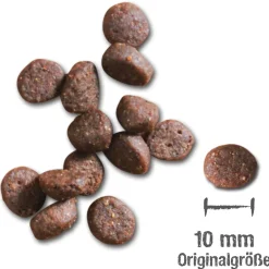 Leonardo Adult - Kattenvoer - Lam 15 kg