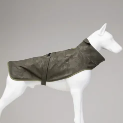 Lindo Honden Regenjas Softshell - Hondenkleding - Groen 3