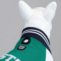 Lindo Hondenjas Boston - Hondenkleding - Groen 2