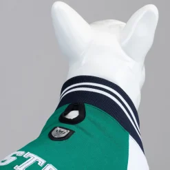 Lindo Hondenjas Boston - Hondenkleding - Groen 1