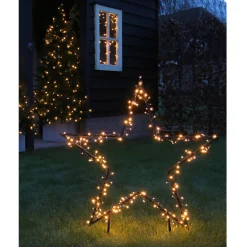 Luca Lighting Ster Tuinsteker Met Verlichting - Kerstdecoratie - 60x1x73 cm Warm Wit 150 led