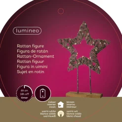 Lumineo Ster Op Standaard - Decoratie - 9x39x55 cm Warm Wit 30 led