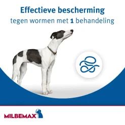 Milbemax Milbemax Kauwtablet Kleine Hond - Anti wormenmiddel - 12 g 4 tab 1 Tot 5 Kg