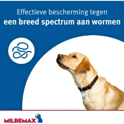Milbemax Milbemax Kauwtablet Kleine Hond - Anti wormenmiddel - 12 g 4 tab 1 Tot 5 Kg