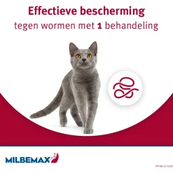 Milbemax Milbemax Kitten & Kat - Anti wormenmiddel - 2 tab 0.5 Tot 2 Kg