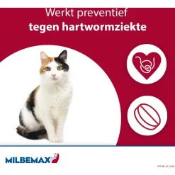 Milbemax Milbemax Kitten & Kat - Anti wormenmiddel - 2 tab 0.5 Tot 2 Kg
