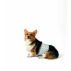 Mpets Wasbare Luier - Training & Gedrag - 18x22x6 cm Wit Grijs Voor Reuen Xs