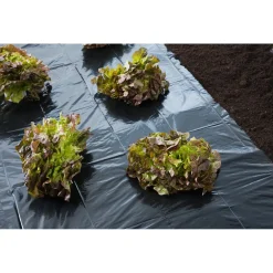 Nature Afdekzeil 150 Micron - Dekkleed - 4x6 m Zwart