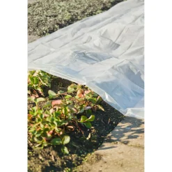 Nature Afdekzeil 100 Micron - Dekkleed - 3x4 m Transparant