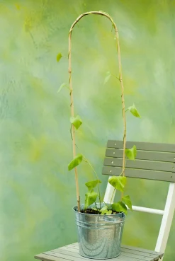 Nature Bamboestok Gebogen - Klim-En Geleide Artikel