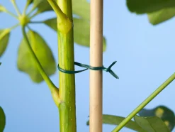 Nature Bindband - Klim-En Geleide Artikel - 100 m Groen