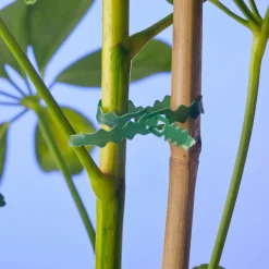 Nature Bindband - Klim-En Geleide Artikel - 5x8.5x13 cm Groen 25 M