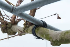 Nature Bindbuis - Klim-En Geleide Artikel - Ø50 m Zwart 50 M