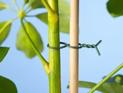 Nature Binddraad - Klim-En Geleide Artikel - 5.3x8.5x10.7 cm Groen 50 M