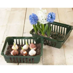 Nature Bollenplantmand - Kweekbenodigdheden - 25x21 cm Groen 3 stuks