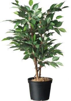 Nature Container Zwart - Kweekbenodigdheden