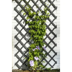 Nature Houten Klimrek - Klim-En Geleide Artikel - 50x15 cm Antraciet