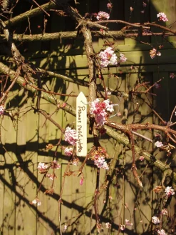 Nature Houten Plantenetiketten - Kweekbenodigdheden - 0.2x1.5x9.5 cm Natural