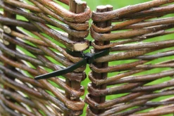 Nature Kabelbinders - Klim-En Geleide Artikel - 0.02x0.48x30 cm Groen 25 stuks