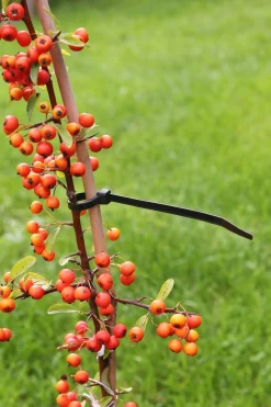 Nature Kabelbinders - Klim-En Geleide Artikel - 0.02x0.48x30 cm Groen 25 stuks