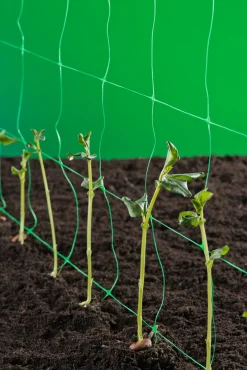 Nature Klim- Groei- En Geleidenet - Klim-En Geleide Artikel - 2x5 m Groen