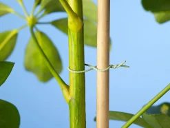 Nature Klimdraad - Klim-En Geleide Artikel - 5x8.4x13 cm Groen