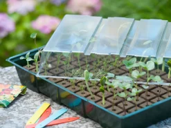 Nature Kweekbakset - Kweekbakken - 23.5x35x11 cm Groen Transparant