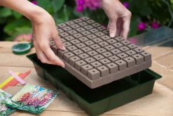 Nature Kweekbakset - Kweekbakken - 23.5x35x11 cm Groen Transparant