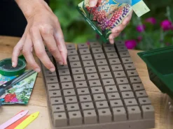 Nature Kweekbakset - Kweekbakken - 23.5x35x11 cm Groen Transparant