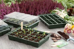 Nature Kweekbakset - Kweekbakken - 35x23.5x10.5 cm Groen Transparant 4 stuks