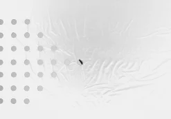 Nature Kweekfolie Universeel - Groeifolie Gronddoek - 5x0.95 m Zwart Zilver Anti-Uv