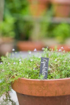 Nature Leistenen Plantenetiketten - Kweekbenodigdheden - 15x3 cm Grijs 5 stuks