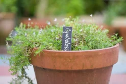 Nature Leistenen Plantenetiketten - Kweekbenodigdheden - 15x3 cm Grijs 5 stuks