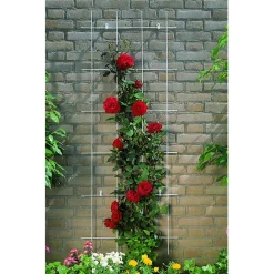 Nature Metalen Klimrek Geplastificeerd - Klim-En Geleide Artikel - 72.5x145 cm Groen