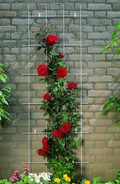 Nature Metalen Klimrek Groen - Klim-En Geleide Artikel