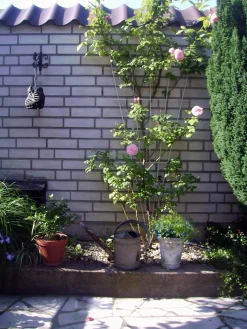 Nature Metalen Klimrek Groen - Klim-En Geleide Artikel