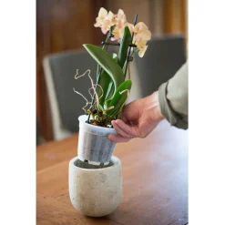 Nature Orchidee Pot Transparant Ø12cm - Kweekbenodigdheden - Ø12 cm Transparant