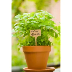 Nature Plaat Etiketten Bamboe - Kweekbenodigdheden - 5 stuks