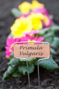 Nature Plaatetiketten Koper - Kweekbenodigdheden - 0.2x6.5x16 cm Koper 6 stuks