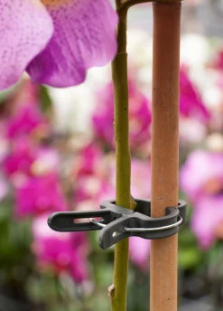 Nature Plantenclip - Klim-En Geleide Artikel - Ø35 mm Groen 5 stuks Ø 35mm