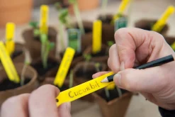 Nature Plantenetiketten - Kweekbenodigdheden - 0.1x1x10.5 cm Geel 25 stuks