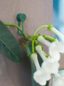 Nature Plantenklemmen - Klim-En Geleide Artikel - 0.6x0.8x6 cm Groen 15 stuks