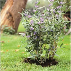 Nature Plantensteun Staand Half Rond Groen - Klim-En Geleide Artikel